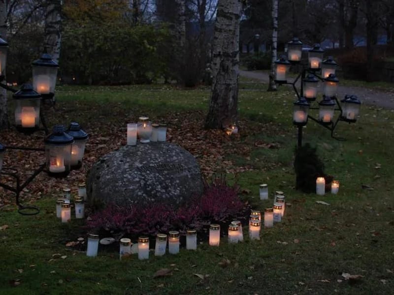 Påfågelns demenshemtjänst - Hemtjänst in Sunne, Värmlands län photo 1