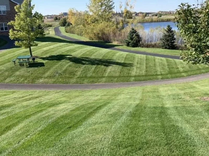 Care Grove Services LLC - Home Health Nursing in Crystal, MN photo 2