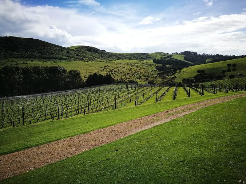 Greenvalley - Assisted Living in Auckland, Waitemata District Health Board photo 1