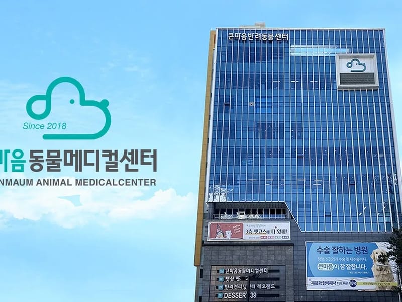 닥터시니어케어 광주센터 in 북구, 광주광역시 photo 1
