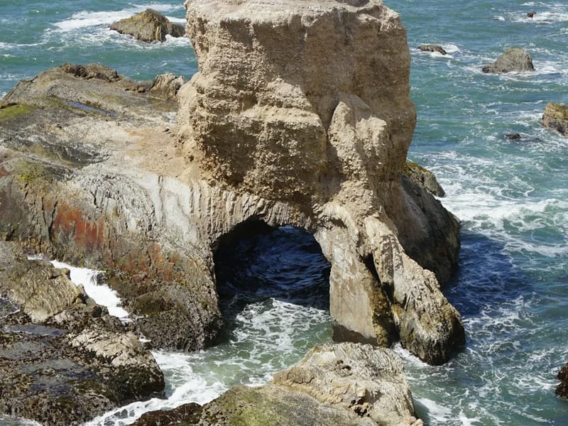 Aevum Home Health - Home Health Nursing in San Luis Obispo, CA photo 2