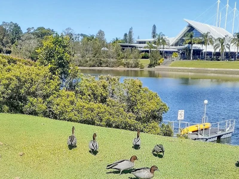 FiveGoodFriends Pty Ltd - In-Home Care in South Brisbane, QLD photo 2