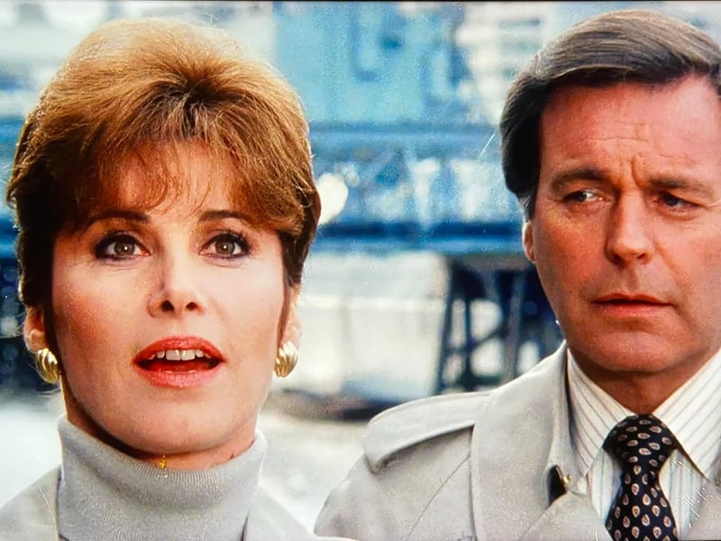 2 HEARTS ARE BETTERTHAN 1 - Home Health Nursing in St Louis, MO photo 2