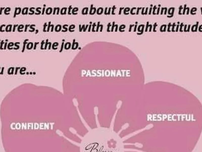 Blossom Home Care Durham - In-Home Care in Newton Aycliffe, England photo 1