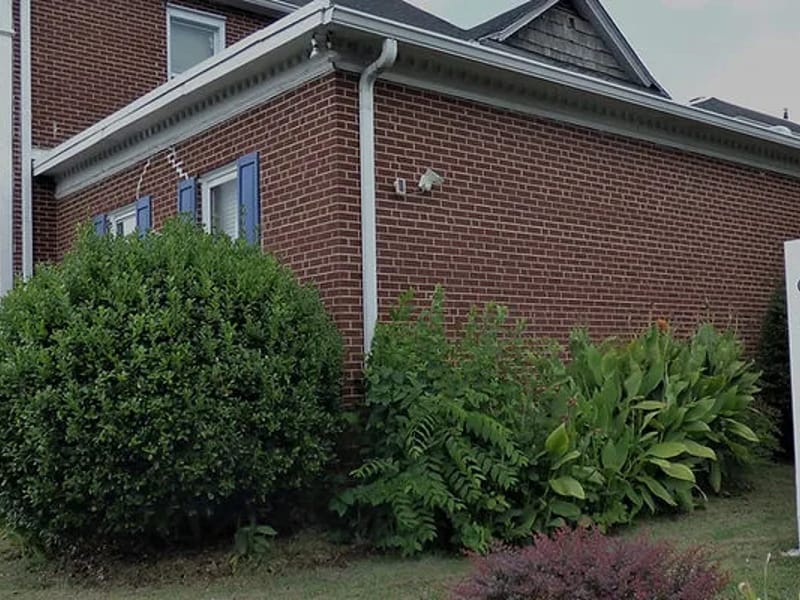 Blessed Caring Services Limited - In-Home Care in Sunderland, England photo 3