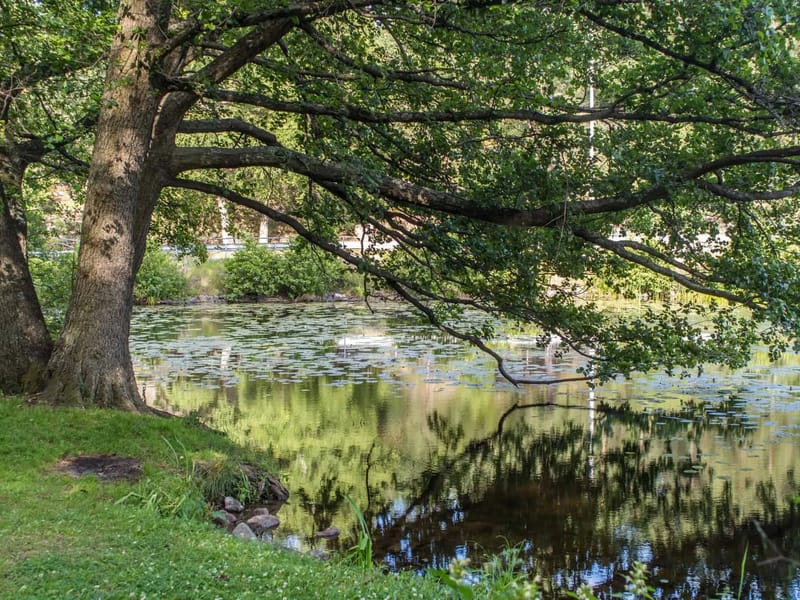 Parkgården - Äldreboende in Nässjö, Jonkoping County photo 2