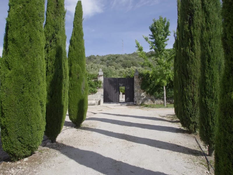 Residencia "El Lucero" - Hogar de Ancianos in Talavera De La Reina, Castilla-La Mancha photo 2