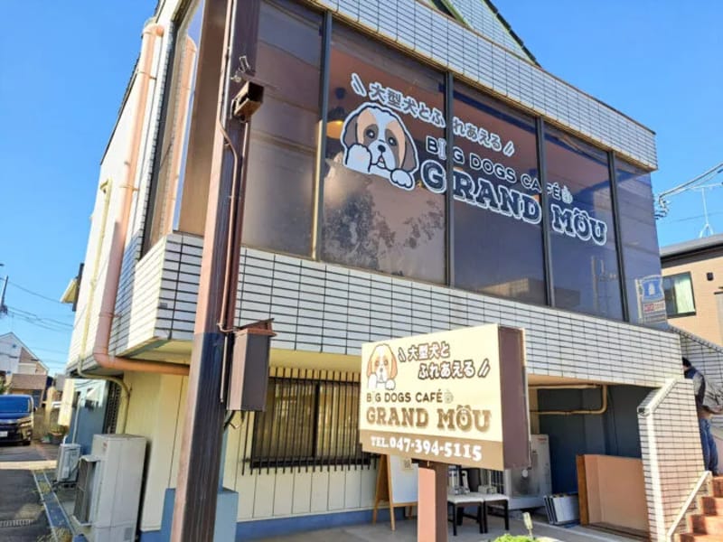 グランドめいと松戸 - 有料老人ホーム in 松戸市, 千葉県 photo 3