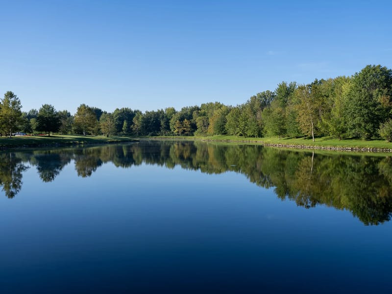 Westlake in Horsham, England photo 2