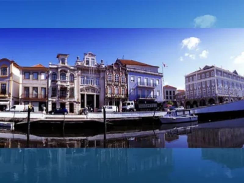VitaLiving - Cuidado Domiciliar in Aveiro, Aveiro photo 3