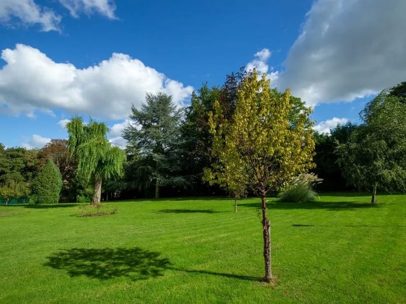 Care at Home - In-Home Care in Cheltenham, England photo 2