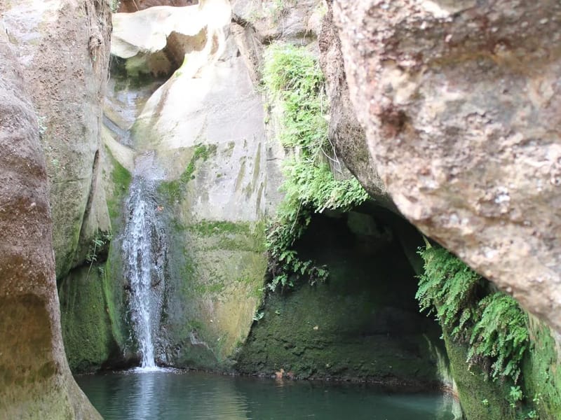 Residència d'avis Sol i Natura - Hogar de Ancianos in Corbera De Llobregat, Cataluña photo 2