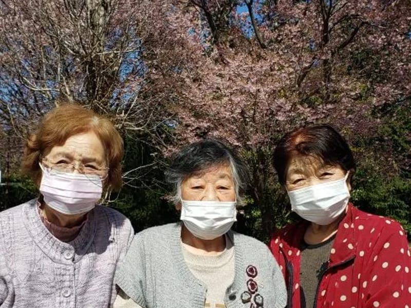 いこいの里「さくら貝」デイサービスセンター　はまゆう - デイサービス in 土佐市, 高知県 photo 3