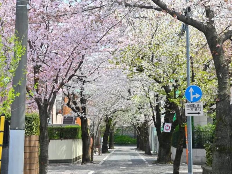 あいメッセージ成城 - 有料老人ホーム in 世田谷区, 東京都 photo 2