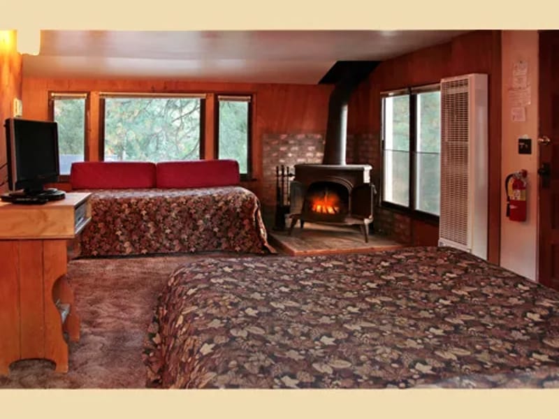Silver Tree Lodge — Assisted Living, Weston-Super-Mare, England · photo 3