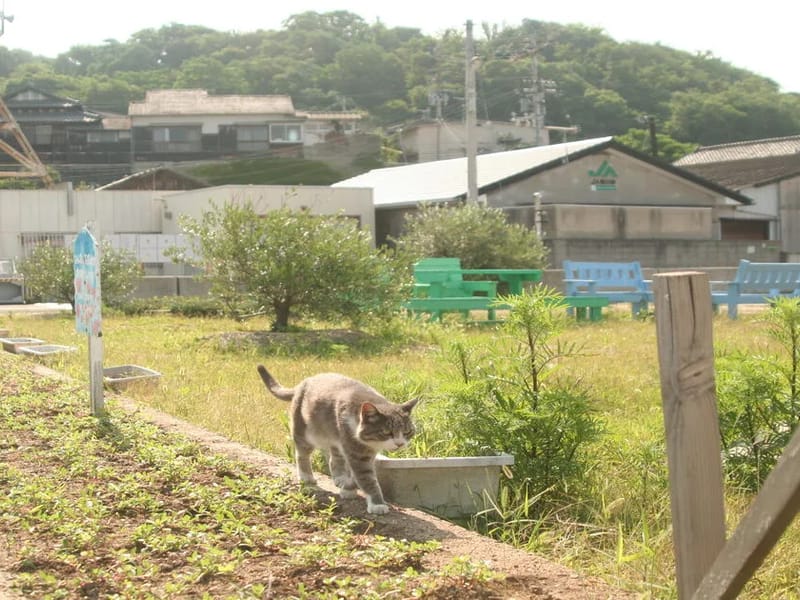 グループホーム　ねこの手 - 認知症ケア in 瀬戸市, 愛知県 photo 1