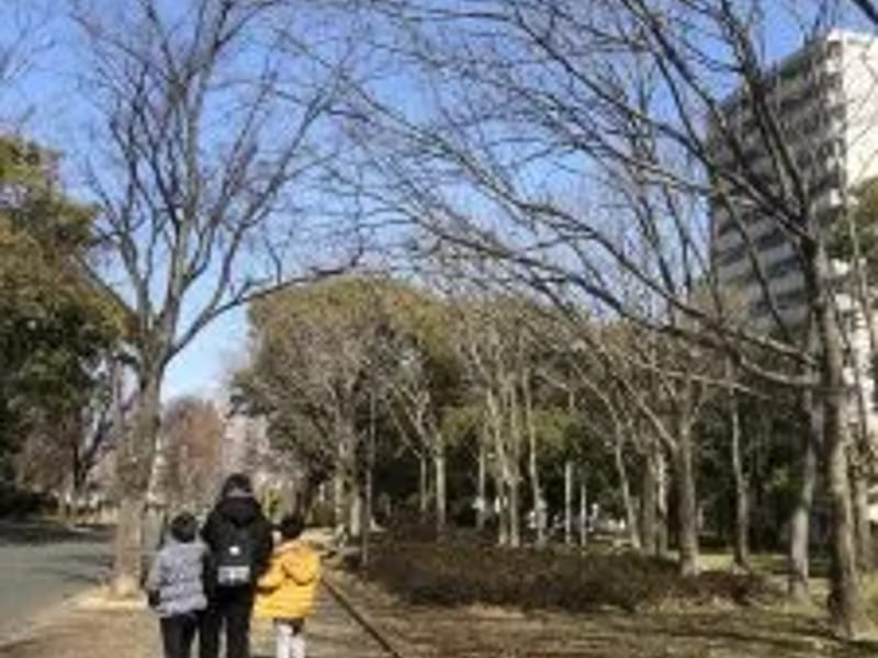 CARE・CARE訪問看護ステーション - 訪問看護 in 大阪市平野区, 大阪府 photo 1