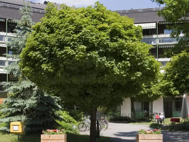 1 : 1 Betreuung in Gröbenzell, Bayern photo 1