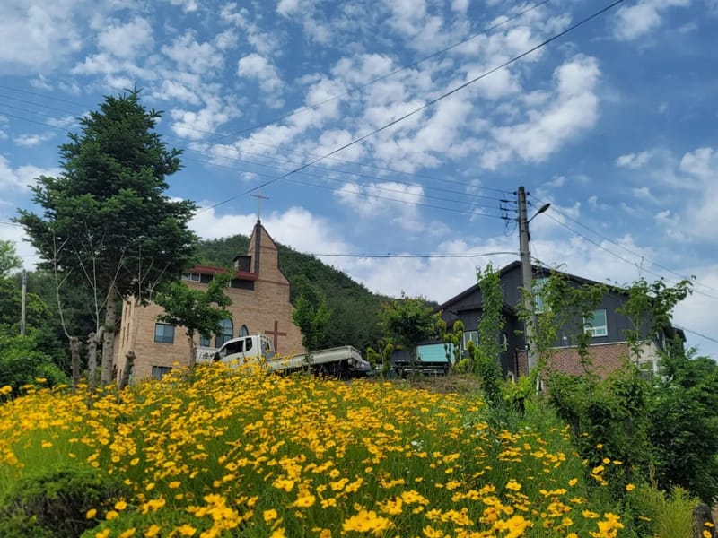 강릉솔향의집 in 강릉시, 강원특별자치도 photo 2
