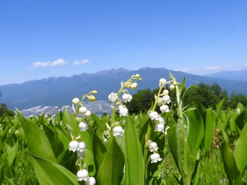 すずらん - 有料老人ホーム in 伊勢原市, 神奈川県 photo 2