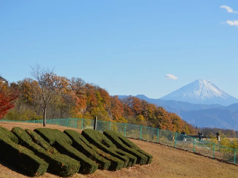 すけっと - 有料老人ホーム in 甲斐市, 山梨県 photo 1