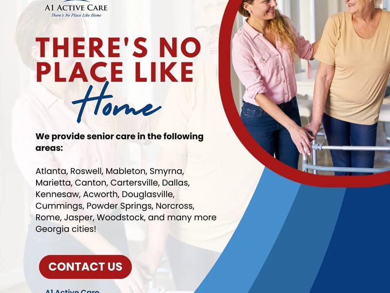 A1 Active Care - Home Health Nursing in Chicago, IL photo 1