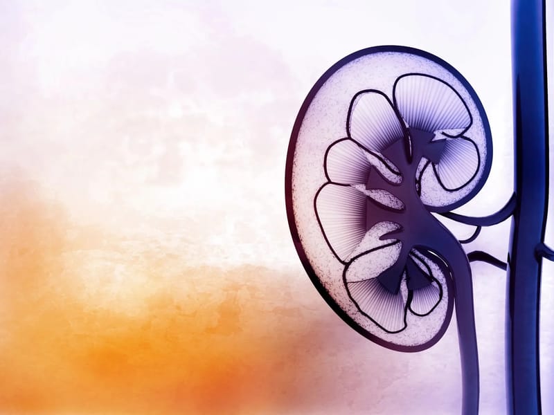 Artificial Kidney Center - Suffolk - Dialysis in Suffolk, VA photo 1