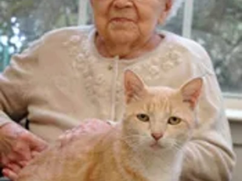 Dunbar Village Courtyard - Assisted Living in Bay St. Louis, MS photo 3