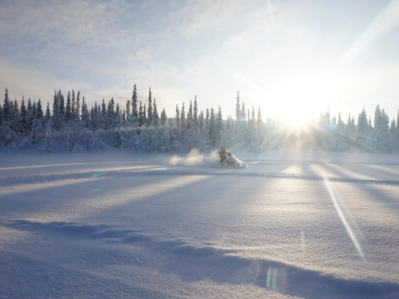 Hemtjänst - Hemtjänst in Arjeplog, Norrbottens län photo 1