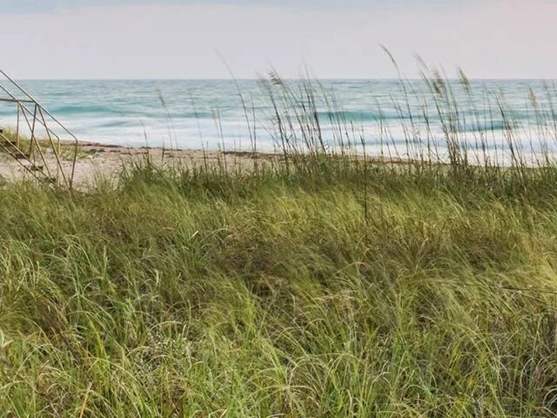 Almost Home Beaches - Assisted Living in Atlantic Beach, FL photo 1