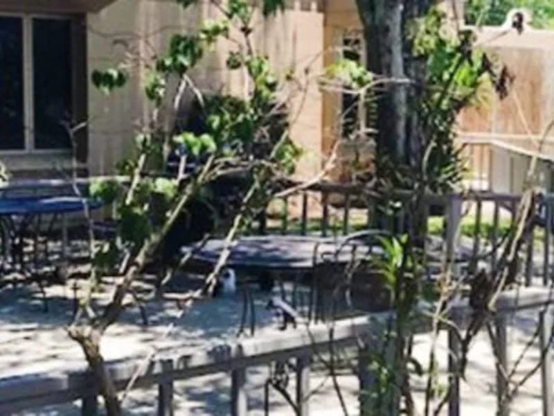 A-1 PROSPERITY CARE HOMES LLC - Home Health Nursing in Kissimmee, FL photo 2