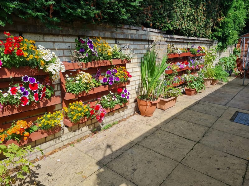 Walsingham Support - Central Supported Living - Assisted Living in Ledbury, England photo 2