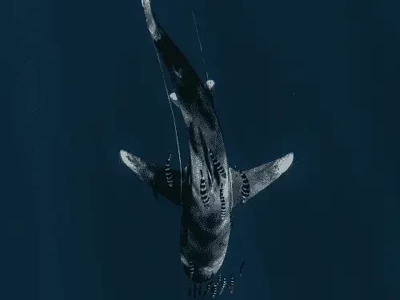 Alex Bluestone Law, LLC - Elder Law in Salem, OR photo 3