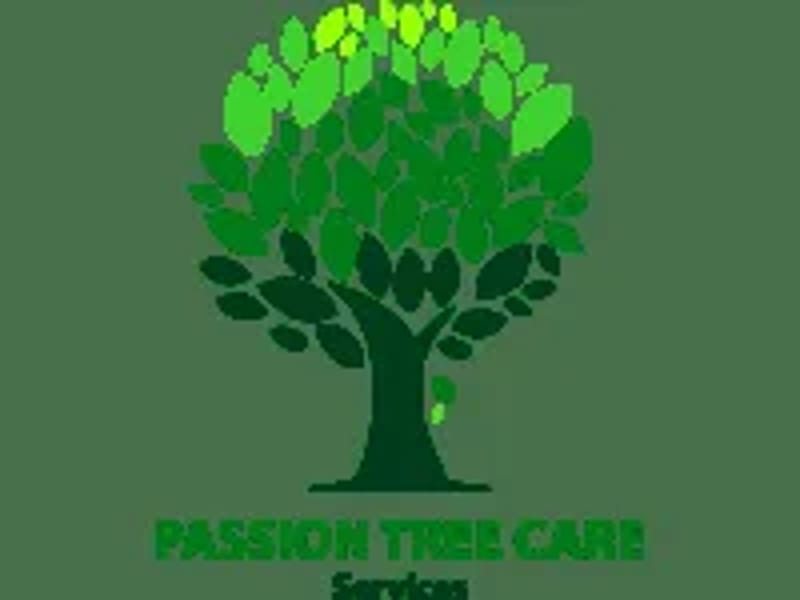 Passion Tree Care Service Ltd - In-Home Care in Chelmsford, England photo 1