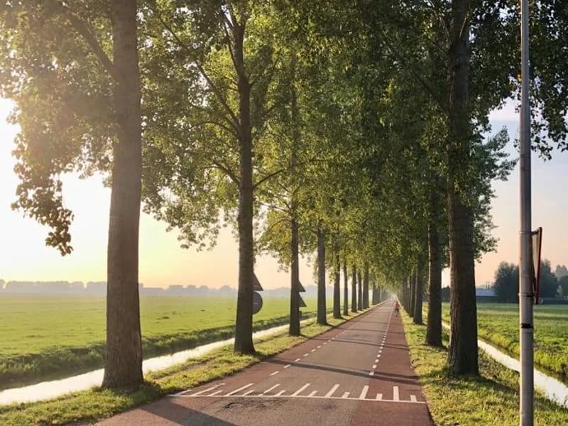 Groenelaan - Verpleeghuis in Amstelveen, Noord-Holland photo 2