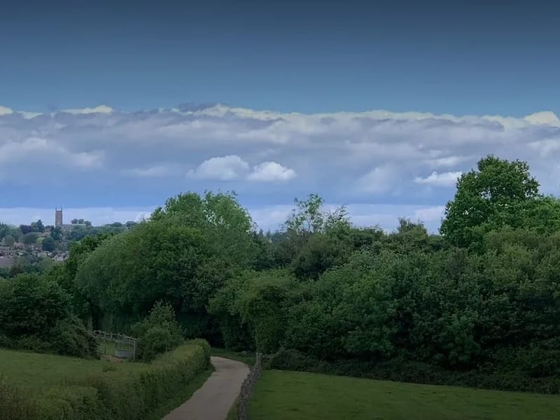 Homelium West Sussex - In-Home Care in East Grinstead, England photo 2