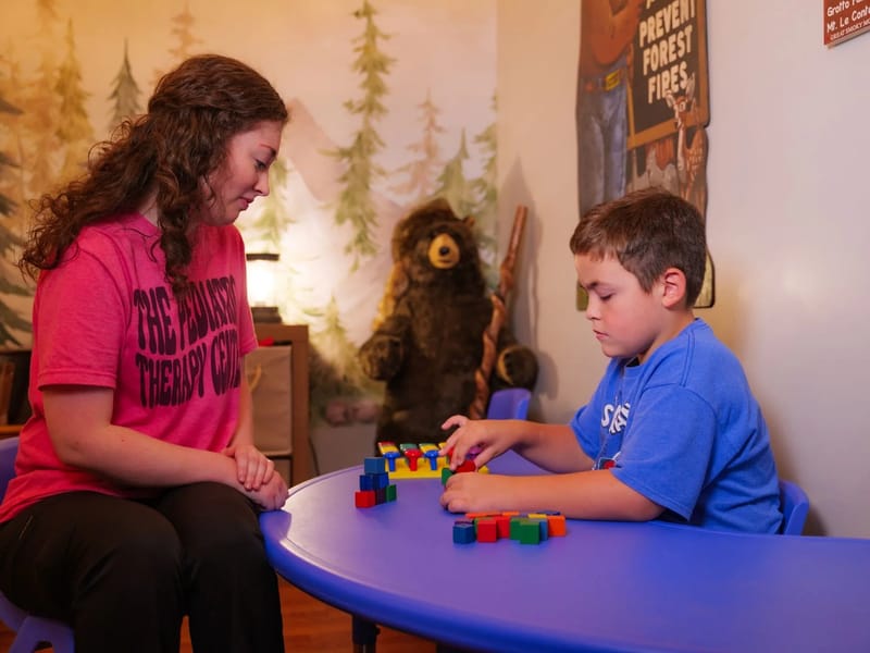 A PEDIATRIC OCCUPATIONAL THERAPY INC. - Home Health Nursing in Edwardsville, IL photo 1