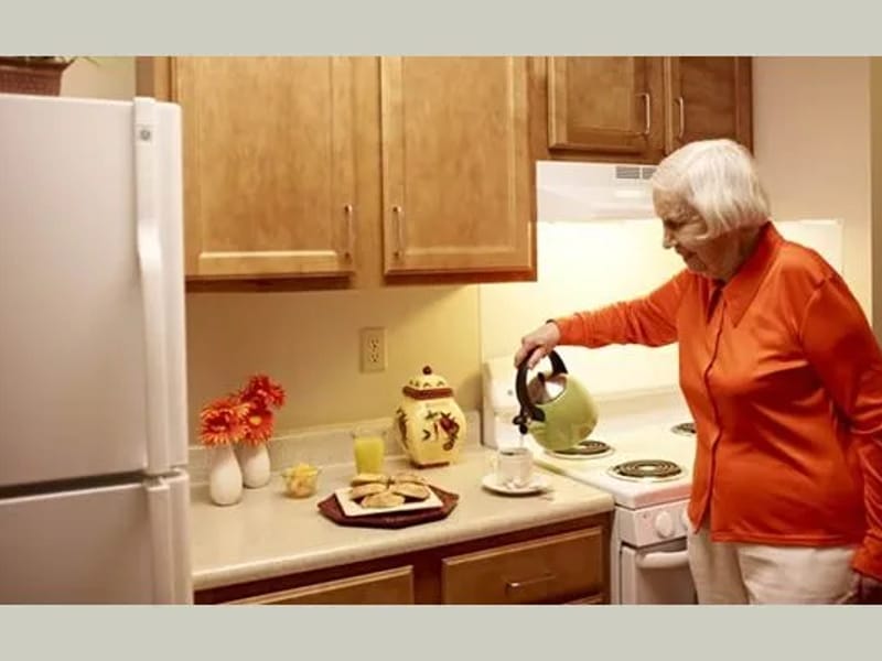 American House Oakland - Assisted Living in Pontiac, MI photo 2