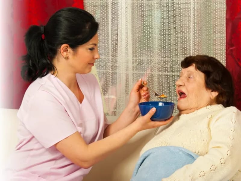 Divine Touch Home Healthcare — Home Health Nursing, Whistler, AL · photo 2