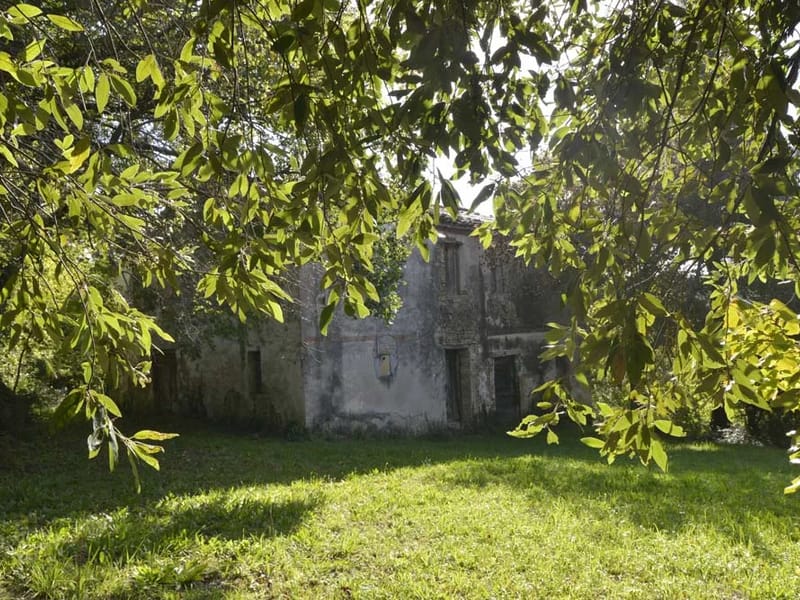Casa Famiglia -Via Spontini - Residenza Assistita in Grosseto, Toscana photo 3