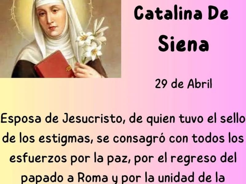 Geriatrico Santa Catalina De Siena - Hogar de Ancianos in MAR DEL PLATA, BUENOS AIRES photo 2