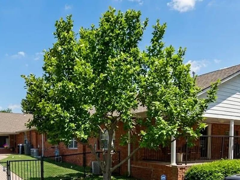 Broken Arrow Nursing Home, Inc — Nursing Home, Broken Arrow, OK · photo 1