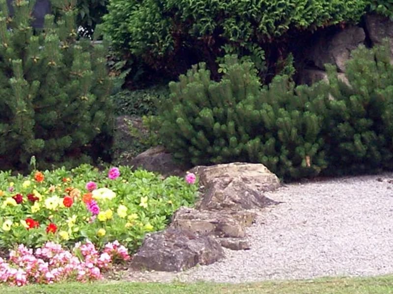 Darlington Extra Care Services - Assisted Living in Darlington, England photo 1