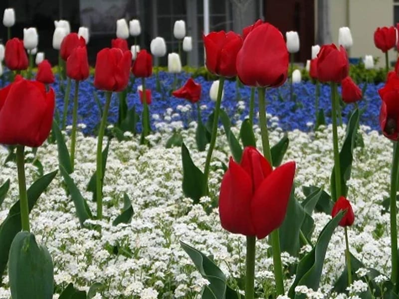 Radius Elloughton Gardens - Nursing Home in Timaru, South Canterbury District Health Board photo 2