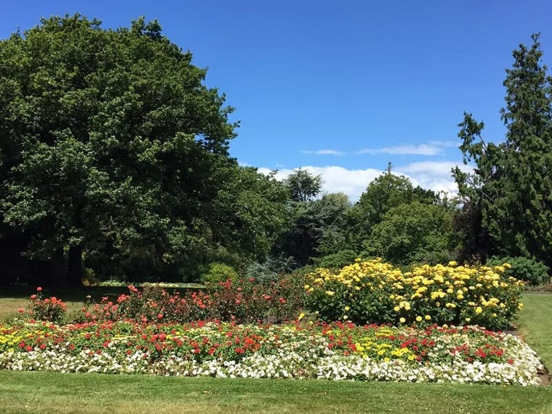 Radius Elloughton Gardens - Nursing Home in Timaru, South Canterbury District Health Board photo 3