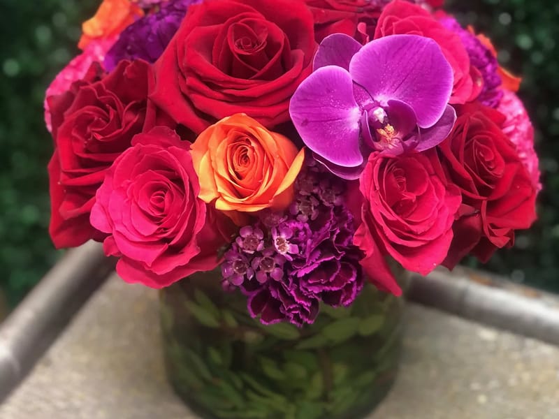 ALL WITH LOVE, INC. - Home Health Nursing in Van Nuys, CA photo 1