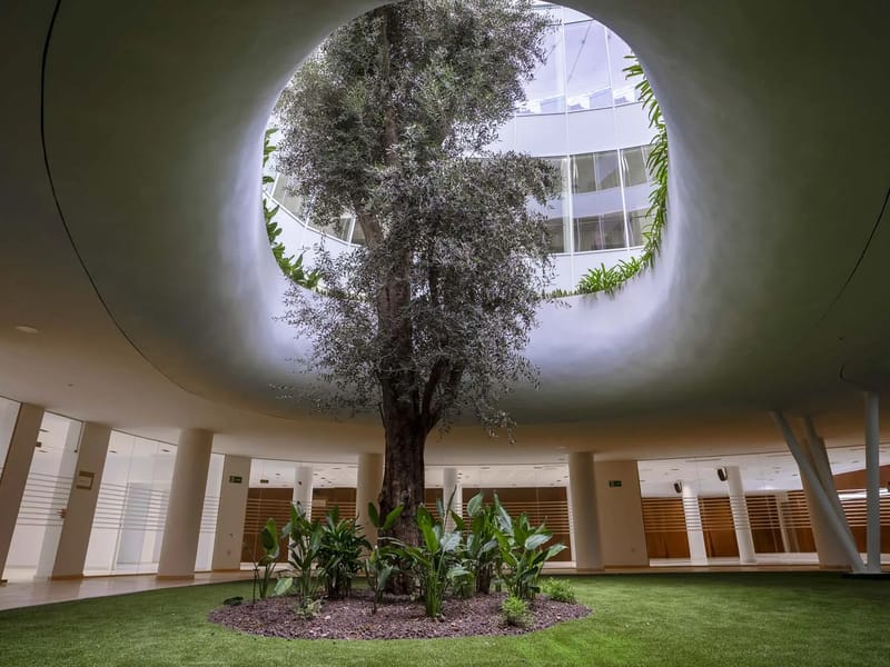 RESIDENCIA DE ADULTOS MAYORES ENFERMOS DE ALZHAIMER - Hogar de Ancianos in Veracruz, Veracruz photo 3