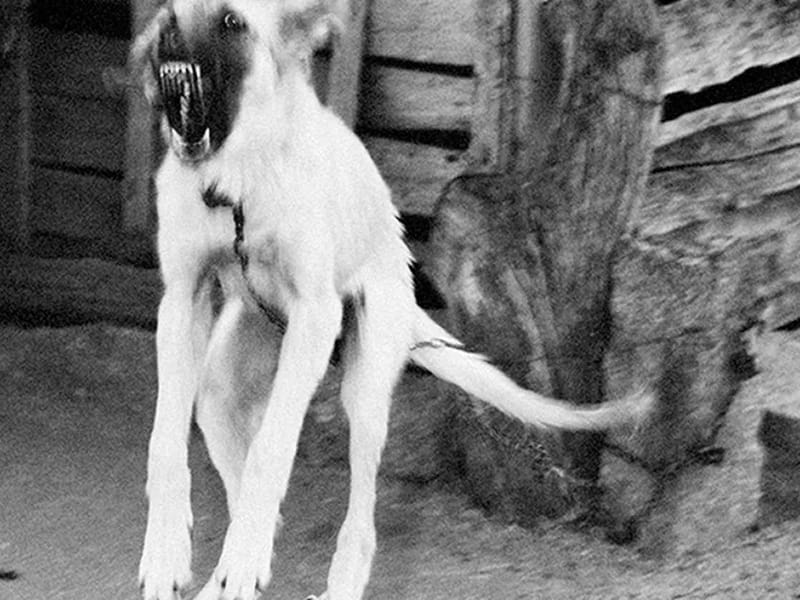 A NIGHTINGALES TOUCH L.L.C. - Home Health Nursing in Shreveport, LA photo 2