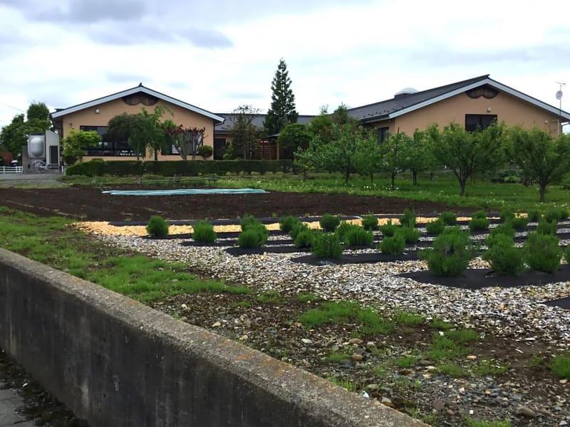あっとほーむだんらん - 有料老人ホーム in 盛岡市, 岩手県 photo 2