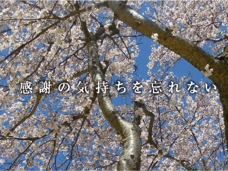 WAC清水さわやかサービス　さわやか清水 - 有料老人ホーム in 静岡市清水区, 静岡県 photo 3